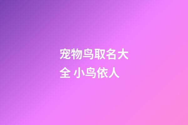 宠物鸟取名大全 小鸟依人